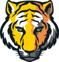 Tiger Mascot